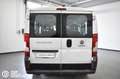 Fiat Ducato 30 2.3 MJT 140CV PC-TN Combi 9 posti Bianco - thumbnail 5