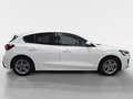 Ford Focus 1,0 EcoBoost Hybrid ST-Line Weiß - thumbnail 6