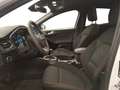Ford Focus 1,0 EcoBoost Hybrid ST-Line Weiß - thumbnail 14