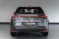 Lexus UX 250h Urban Line Adaptief Cruise Lane Carplay Grau - thumbnail 7