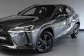 Lexus UX 250h Urban Line Adaptief Cruise Lane Carplay Grau - thumbnail 22