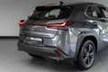 Lexus UX 250h Urban Line Adaptief Cruise Lane Carplay Grau - thumbnail 30