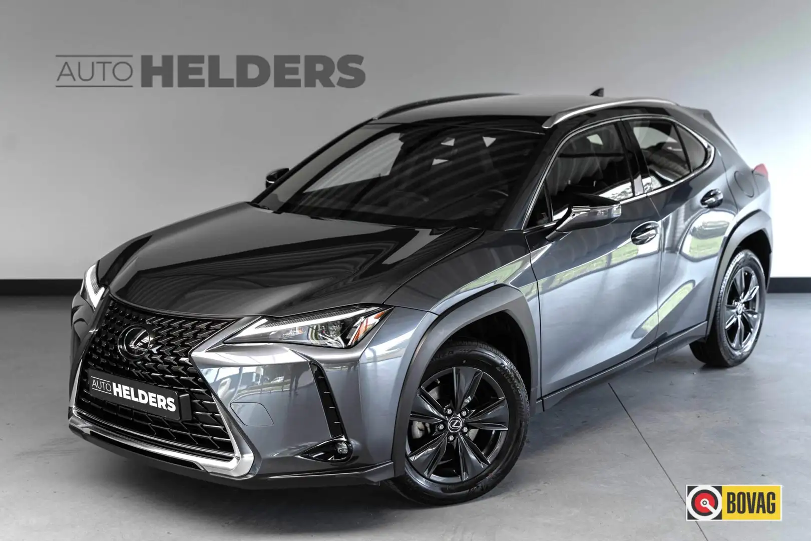 Lexus UX 250h Urban Line Adaptief Cruise Lane Carplay Grau - 1