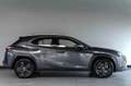Lexus UX 250h Urban Line Adaptief Cruise Lane Carplay Grau - thumbnail 34