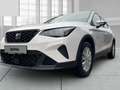 SEAT Arona Road Editon  1.0 TSI 85KW(116PS) DSG Sitzh. Navi F Wit - thumbnail 5