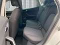 SEAT Arona Road Editon  1.0 TSI 85KW(116PS) DSG Sitzh. Navi F Wit - thumbnail 7