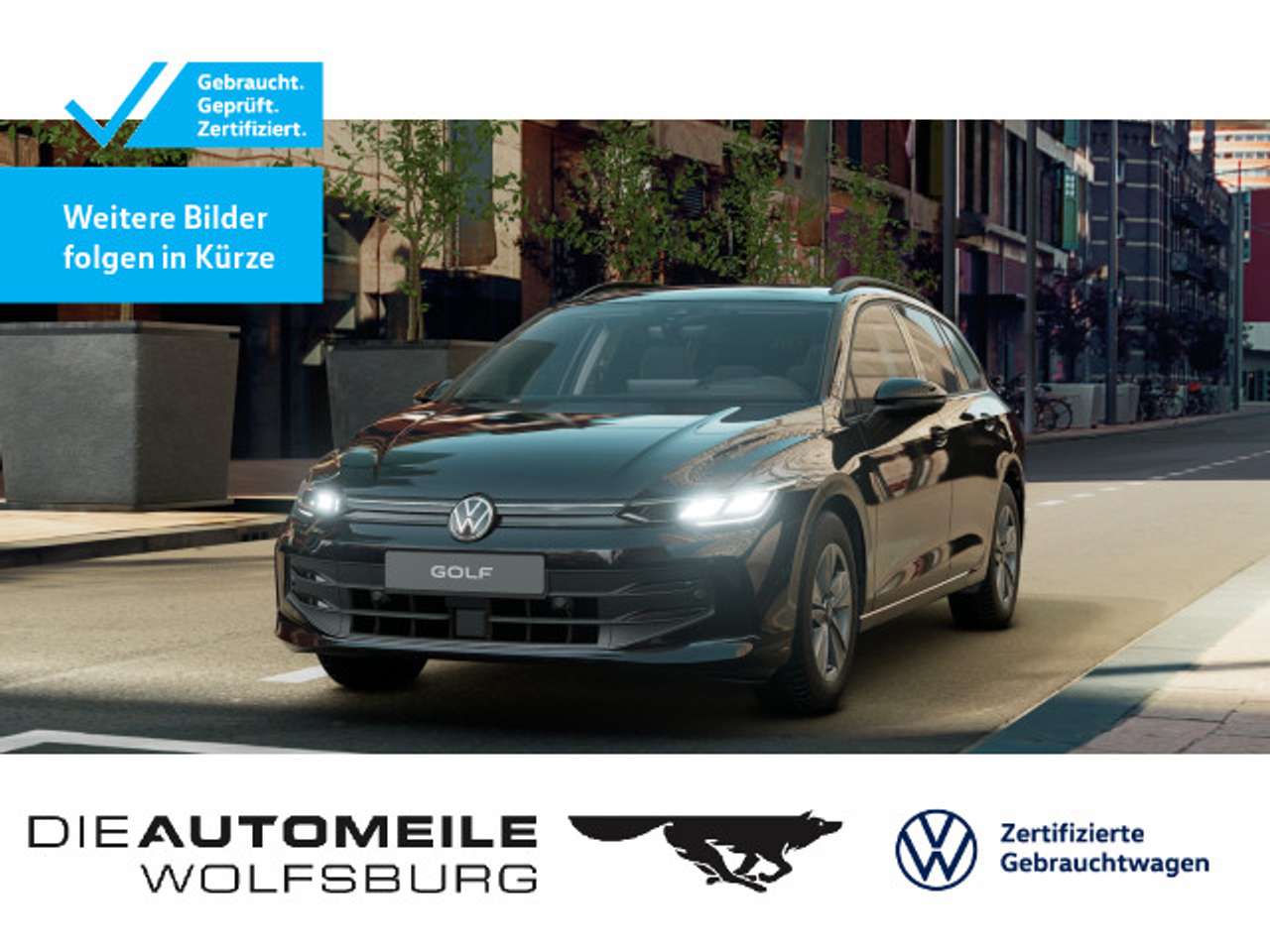 Volkswagen Golf — Volkswagen Golf 8 VIII Variant 2.0 TDI DSG Life Stand/H+K/E