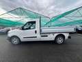 Fiat Doblo Work-Up 1.6 mjt 105cv E5+ F.L. PICK UP - FB844SH Blanco - thumbnail 3
