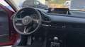 Mazda CX-30 2025 2.0 e-SKYACTIV X MHEV 186CV 6MT FWD EXCLUSIVE Rojo - thumbnail 12