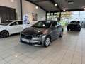 Skoda Fabia 1.0 TSI 85KW 130Jahre AHK|LED|SMART LINK Grau - thumbnail 1