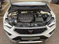 SEAT Ateca 4Drive 2.0 TSI DSG KAMERA/PANO/DCC/LM19" Weiß - thumbnail 15