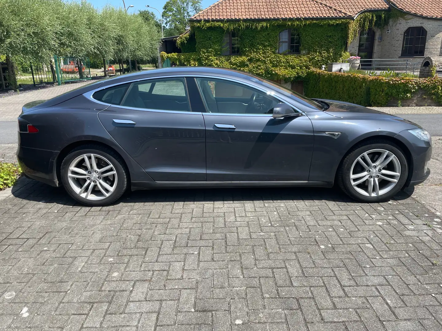 Tesla Model S Model S Grijs - 2