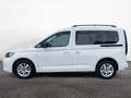 Volkswagen Caddy Life KR 1.5 l TSI 7-Gang-DSG Weiß - thumbnail 3