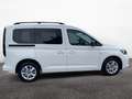 Volkswagen Caddy Life KR 1.5 l TSI 7-Gang-DSG Weiß - thumbnail 7