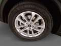 Ford Kuga 1,5 EcoBoost Titanium Grün - thumbnail 14