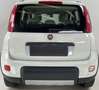 Fiat Panda Panda 4x4 1.3 mjt 16v 4x4 75cv Blanc - thumbnail 3