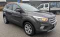 Ford Kuga Trend Grau - thumbnail 4