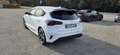 Ford Focus Focus  1.5 ecoblue ST-Line  VALUTO PERMUTA Blanco - thumbnail 7