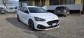 Ford Focus Focus  1.5 ecoblue ST-Line  VALUTO PERMUTA Blanco - thumbnail 4