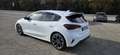 Ford Focus Focus  1.5 ecoblue ST-Line  VALUTO PERMUTA Blanco - thumbnail 6