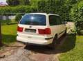 SEAT Alhambra Alhambra 1,9 Luxus TDi Aut. Weiß - thumbnail 3
