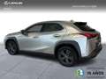 Lexus UX 250h Business City 2WD Grau - thumbnail 3