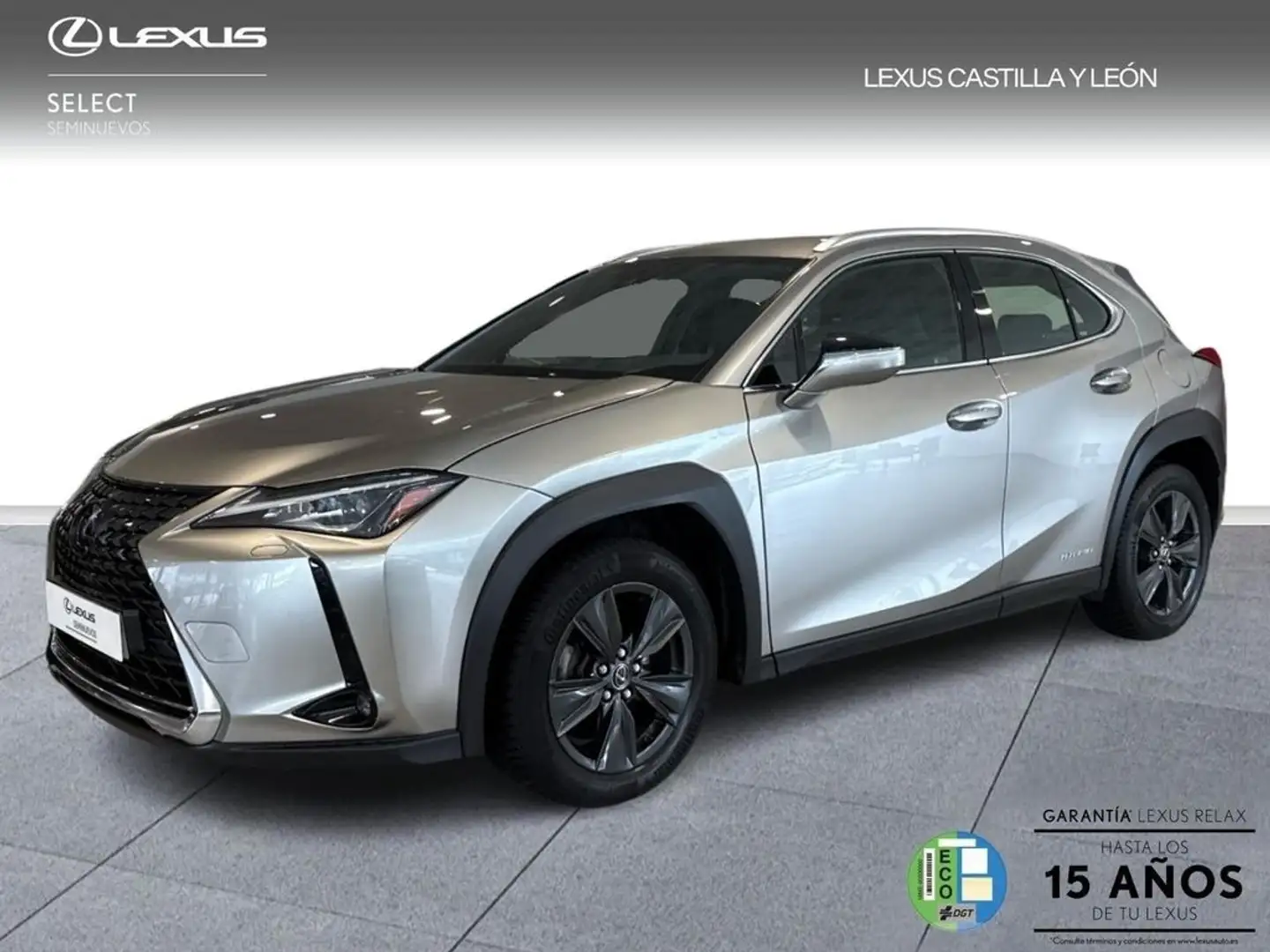 Lexus UX 250h Business City 2WD Grau - 1