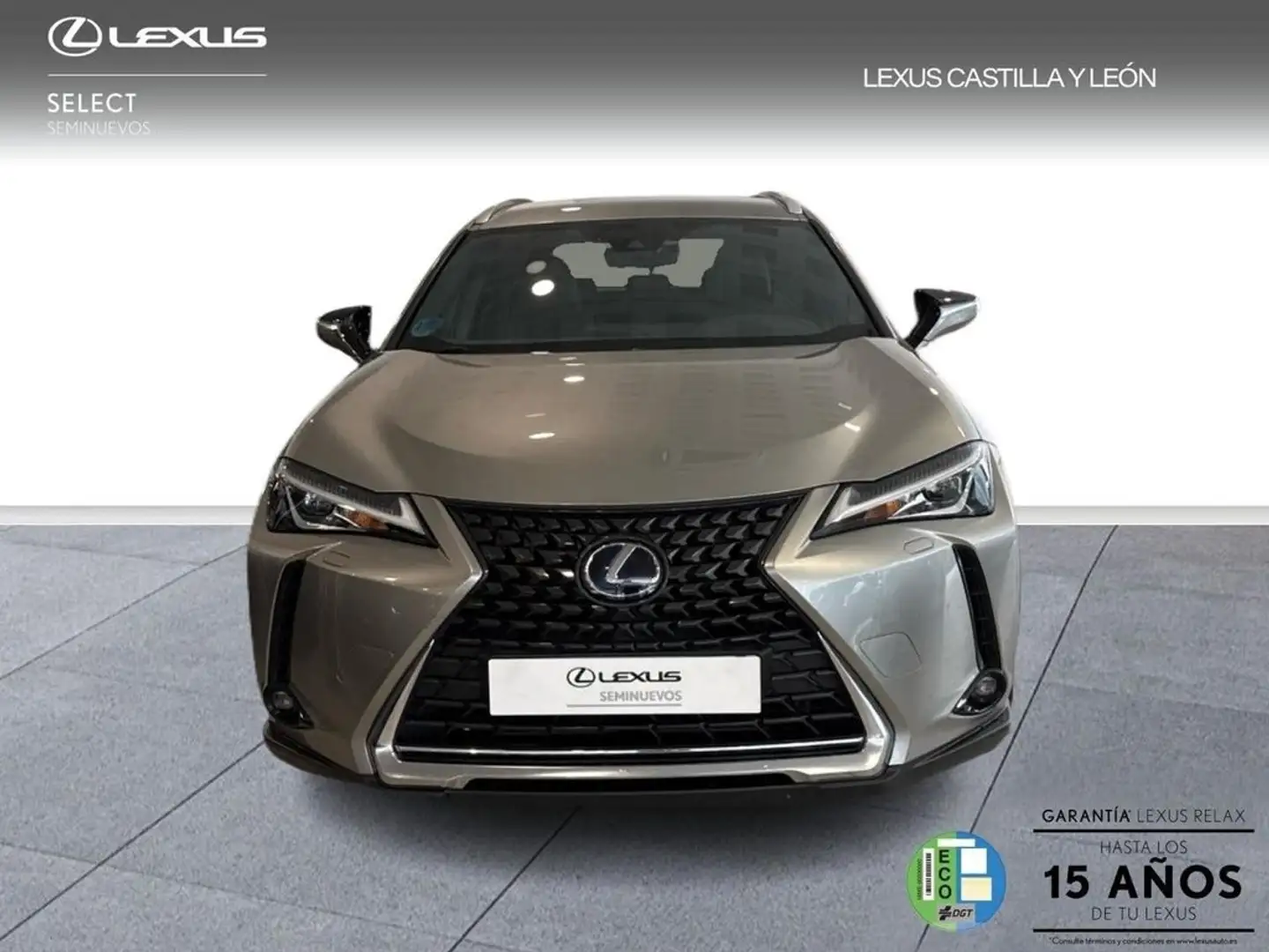 Lexus UX 250h Business City 2WD Grau - 2