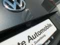 Volkswagen Tiguan 2,0 TDI SCR 4Motion Sky DSG Grau - thumbnail 12