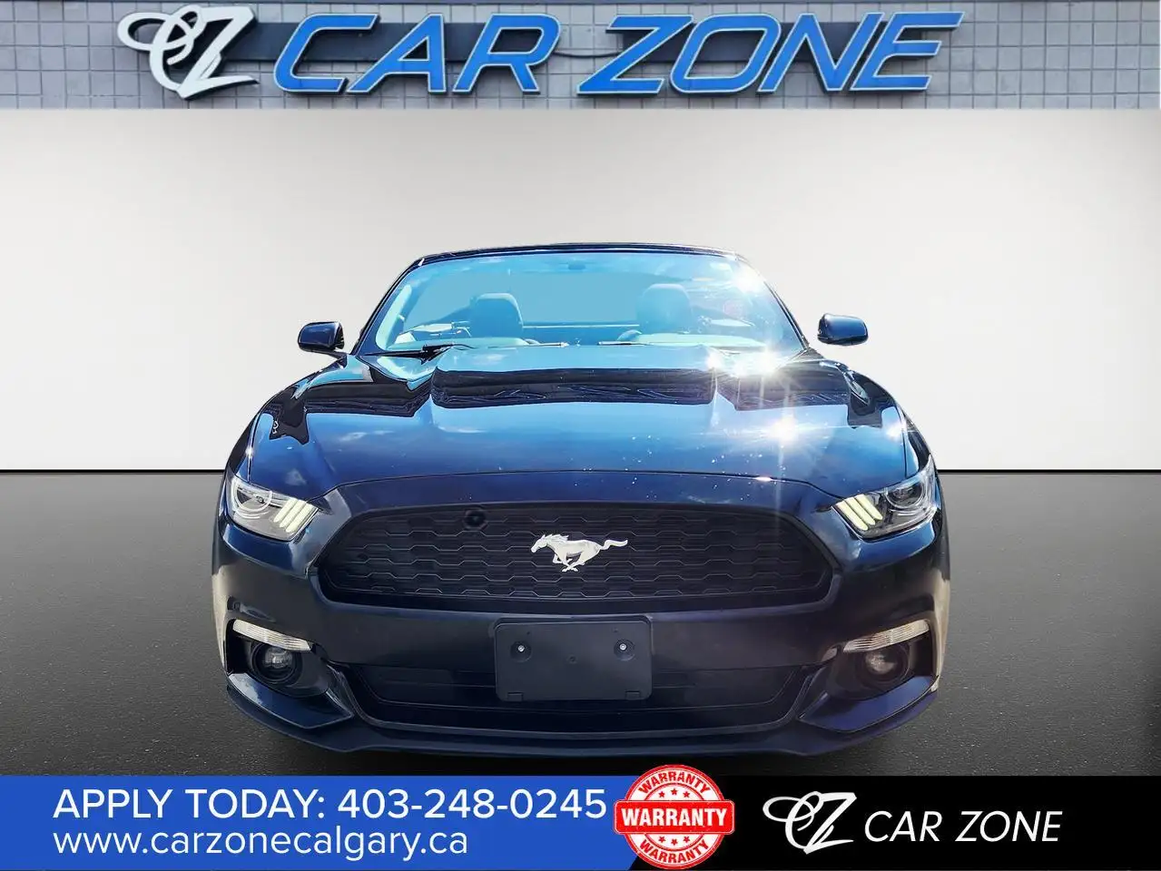 Ford Mustang fotografie Ford Mustang