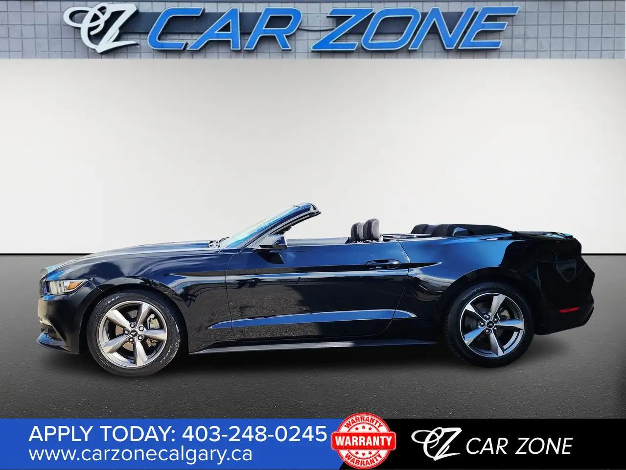 Ford Mustang fotografie Ford Mustang