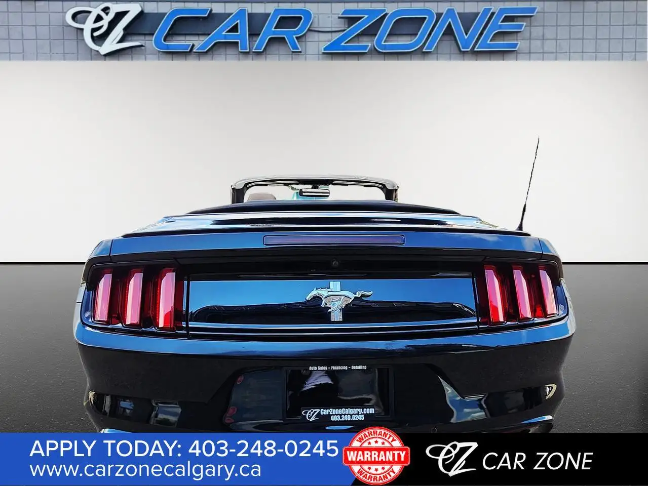Ford Mustang fotografie Ford Mustang