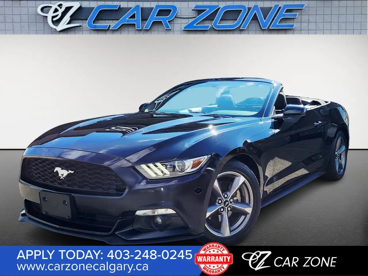 Ford Mustang fotografie Ford Mustang