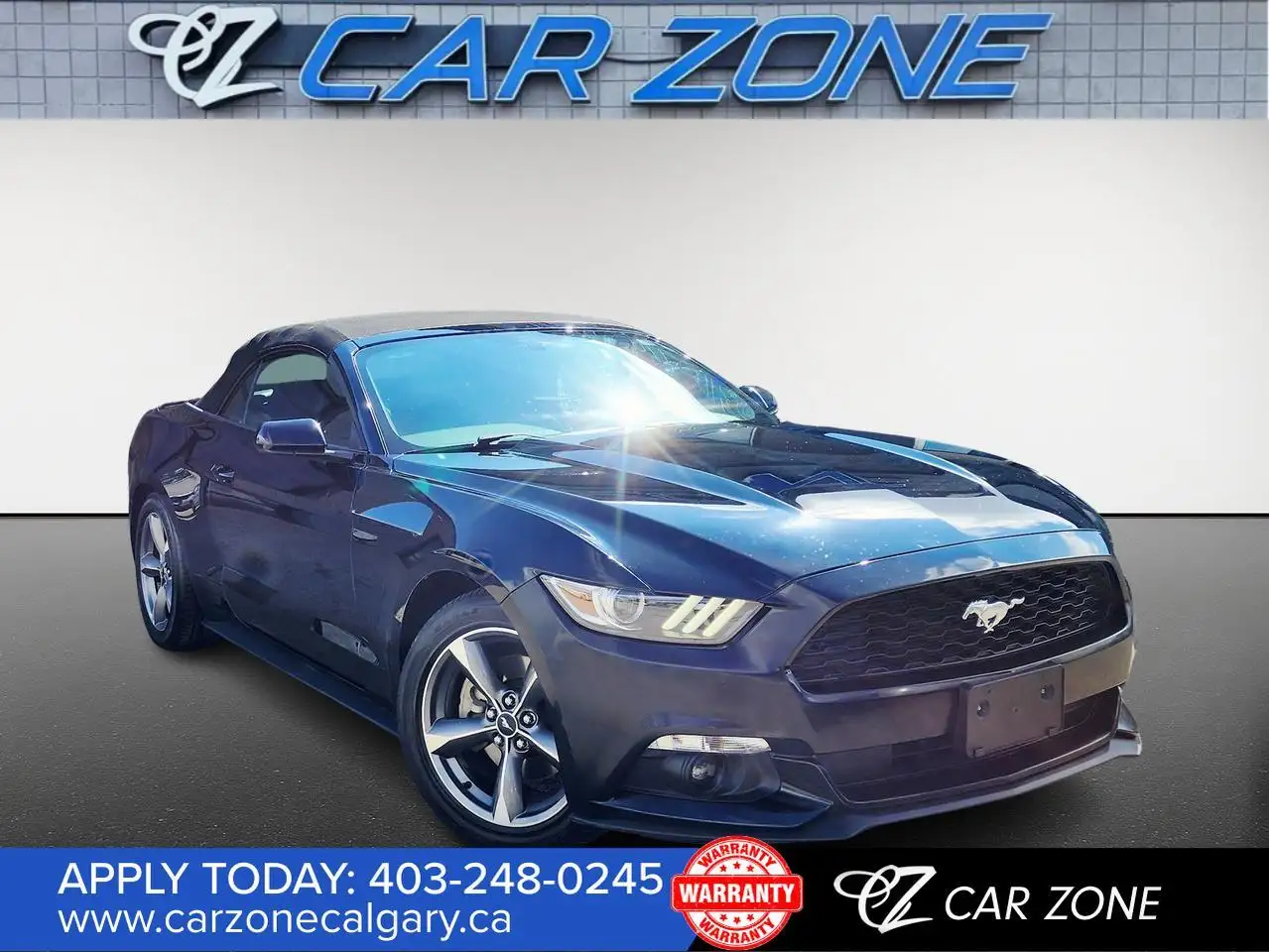 Ford Mustang fotografie Ford Mustang