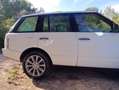 Land Rover Range Rover Range Rover 3.6TdV8 Vogue  Aut. Vogue Blanco - thumbnail 4