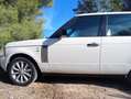 Land Rover Range Rover Range Rover 3.6TdV8 Vogue  Aut. Vogue Blanco - thumbnail 3