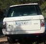 Land Rover Range Rover Range Rover 3.6TdV8 Vogue  Aut. Vogue Blanco - thumbnail 7