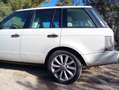 Land Rover Range Rover Range Rover 3.6TdV8 Vogue  Aut. Vogue Blanco - thumbnail 5