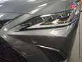 Lexus ES 300 300h F SPORT MY20 Grau - thumbnail 13