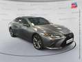 Lexus ES 300 300h F SPORT MY20 Grau - thumbnail 3