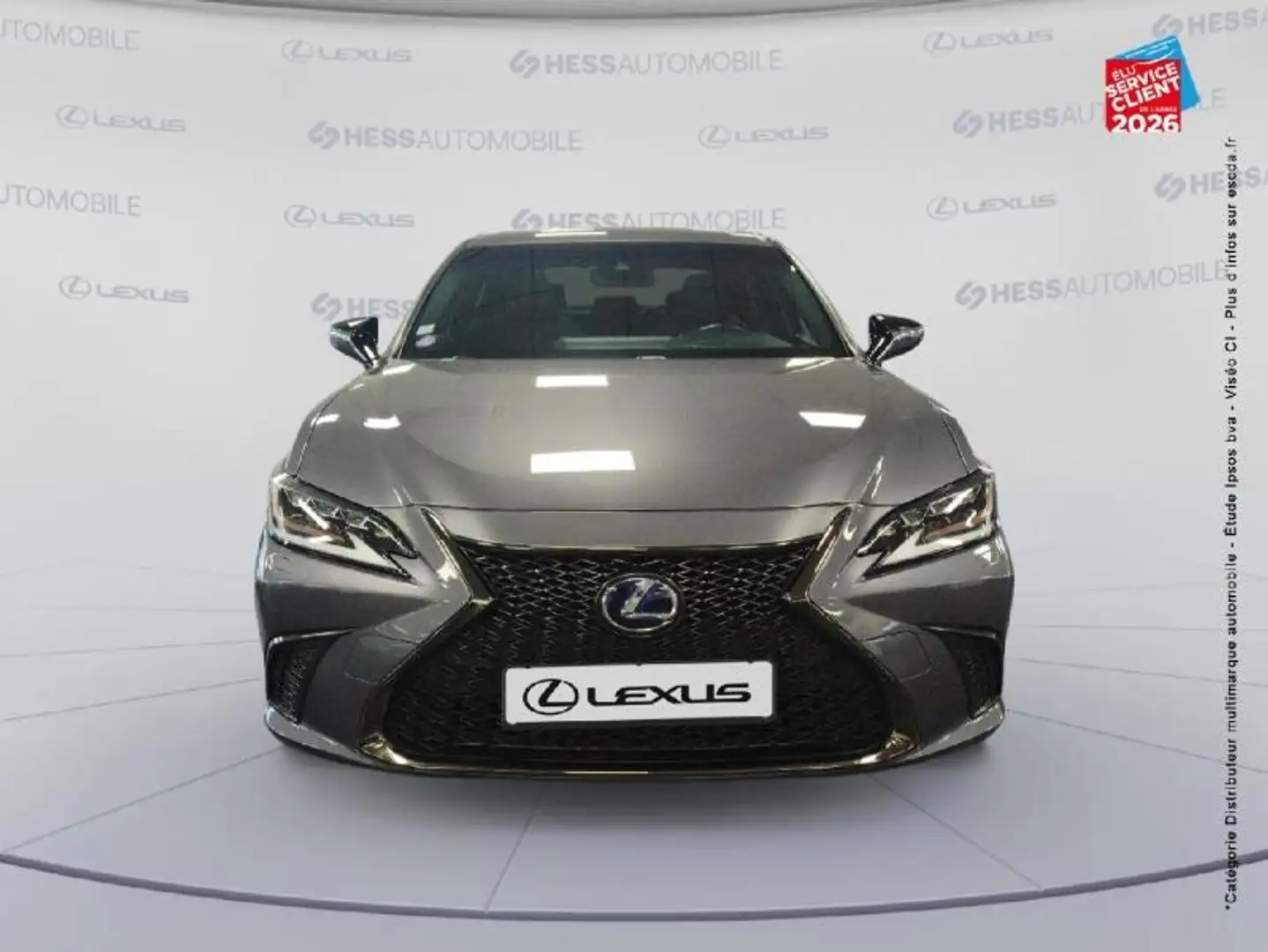 Lexus ES 300 300h F SPORT MY20 Grau - 2