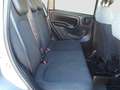 Fiat Panda 1.0 hybrid s&s 70cv 5p.ti Gris - thumbnail 16