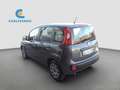 Fiat Panda 1.0 hybrid s&s 70cv 5p.ti Grigio - thumbnail 6