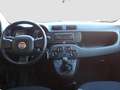Fiat Panda 1.0 hybrid s&s 70cv 5p.ti Grigio - thumbnail 13