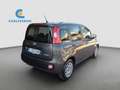 Fiat Panda 1.0 hybrid s&s 70cv 5p.ti Grigio - thumbnail 4