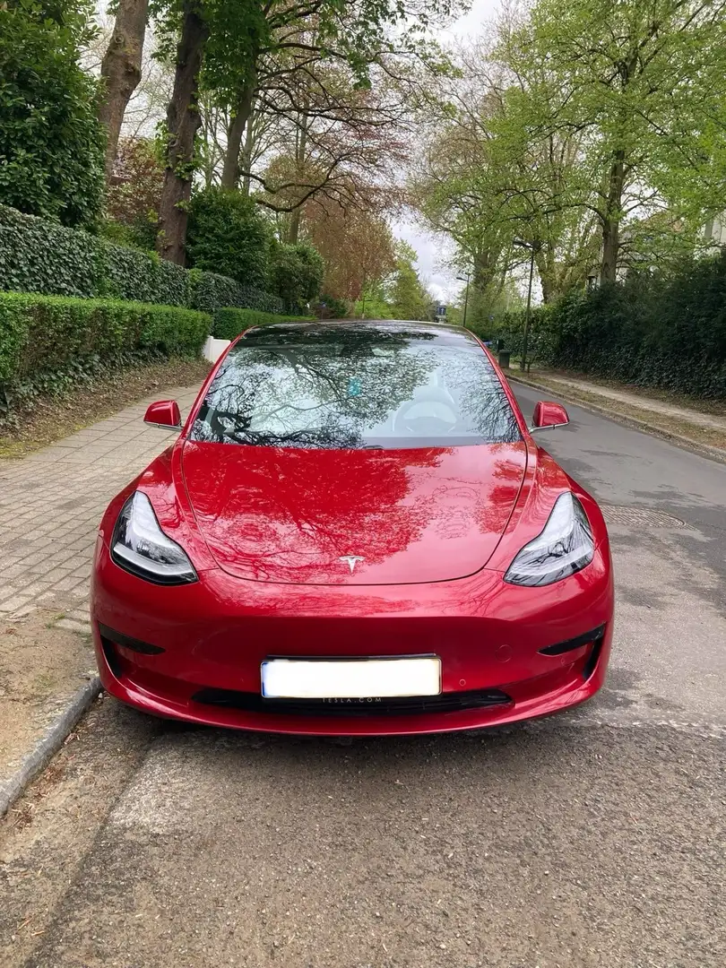 Tesla Model 3 SP - Full Self Drive Active - Red/White Interior Rood - 2