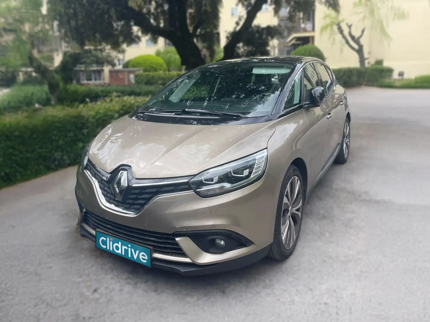 Renault Scenic Limited TCe 103kW (140CV) EDC GPF Żółty - 2