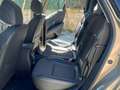 Renault Scenic Limited TCe 103kW (140CV) EDC GPF Żółty - thumbnail 13
