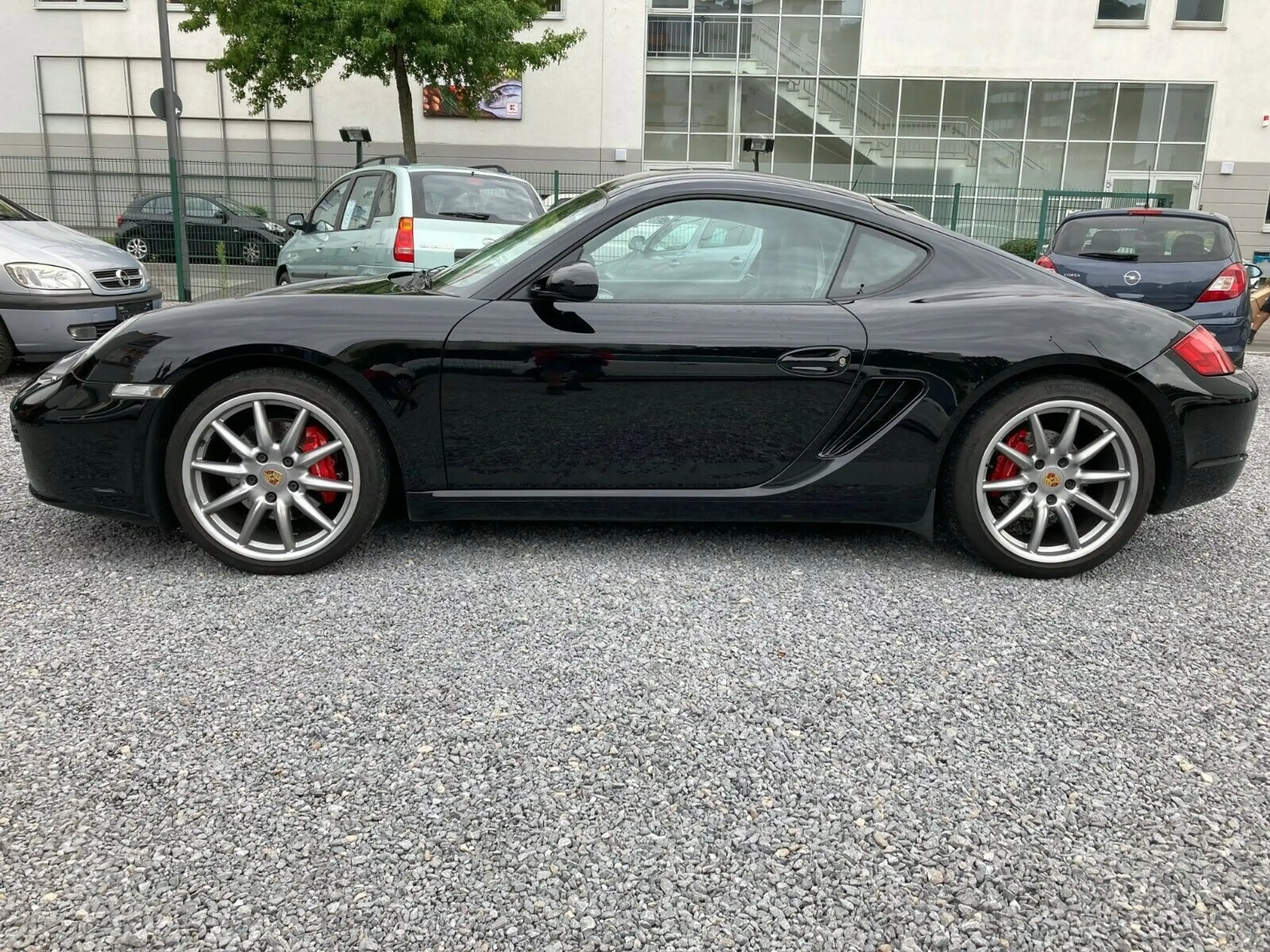 Porsche Cayman S Sport 271/700 PZ-Scheckh. — photo 4
