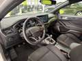 Ford Focus 1.0 Ecoboost MHEV ST-Line 125 Plateado - thumbnail 10